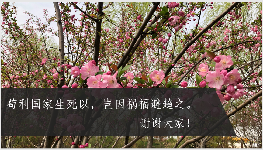 刘珊7.png