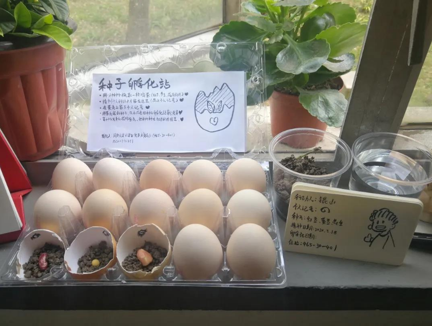 002种子孵化站.png