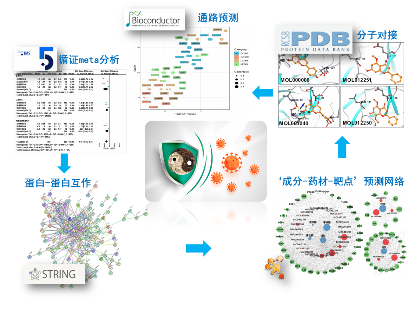 图1基于网络药理学和分子对接技术预测中药成分抗病毒靶点及机制流程图.png
