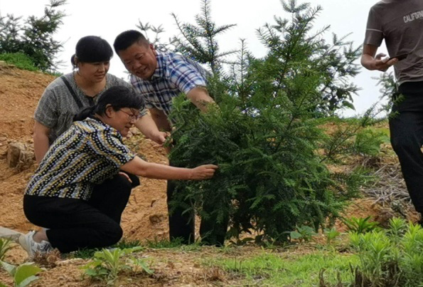 “智林工程”，支部党员与学院专家赴皖西大别山区助推精准脱贫2.jpg