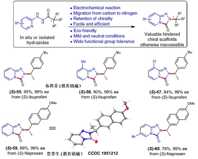 绿色电化学重排反应构筑吡啶并三唑酮骨架及畅销药物后期修饰.jpg
