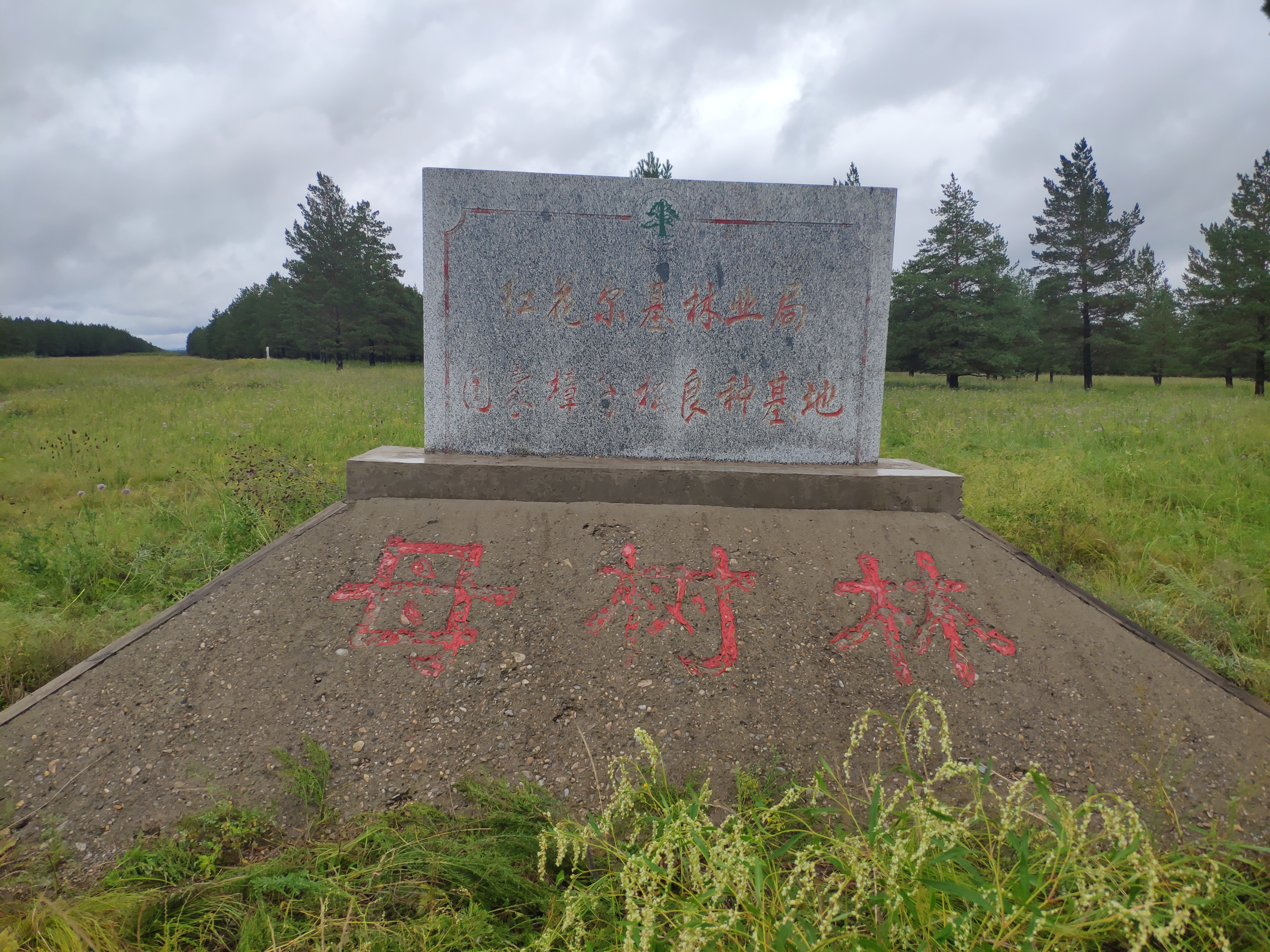 红花尔基林业局国家樟子松良种基地(正面)