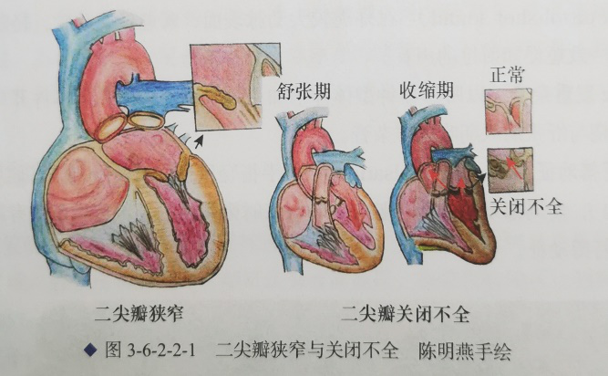 医小盒招募图片2.png