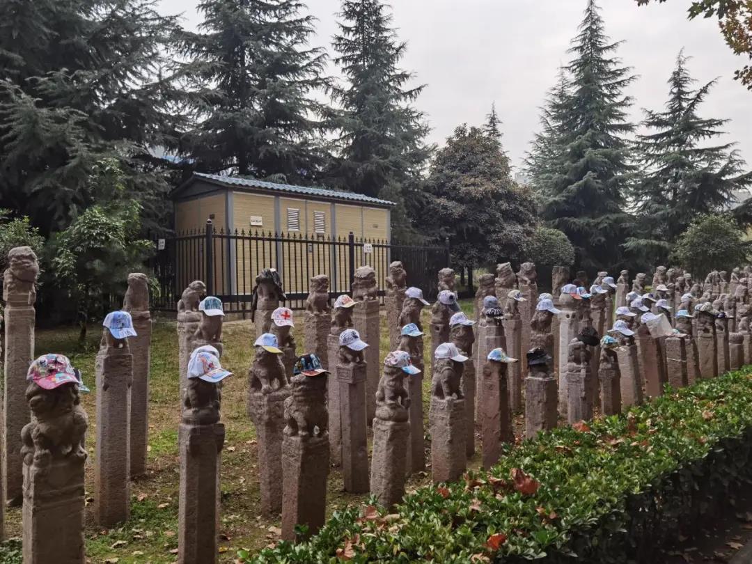 微信图片_20201112113344.jpg 微信图片_20201112113344.jpg