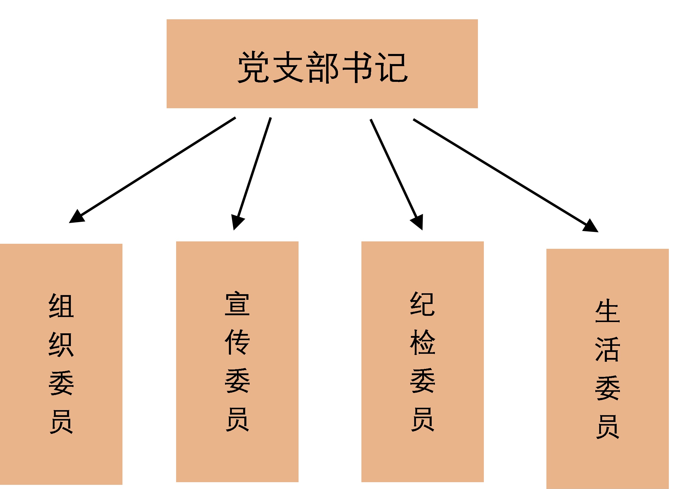 党支部组成人员结构图图片