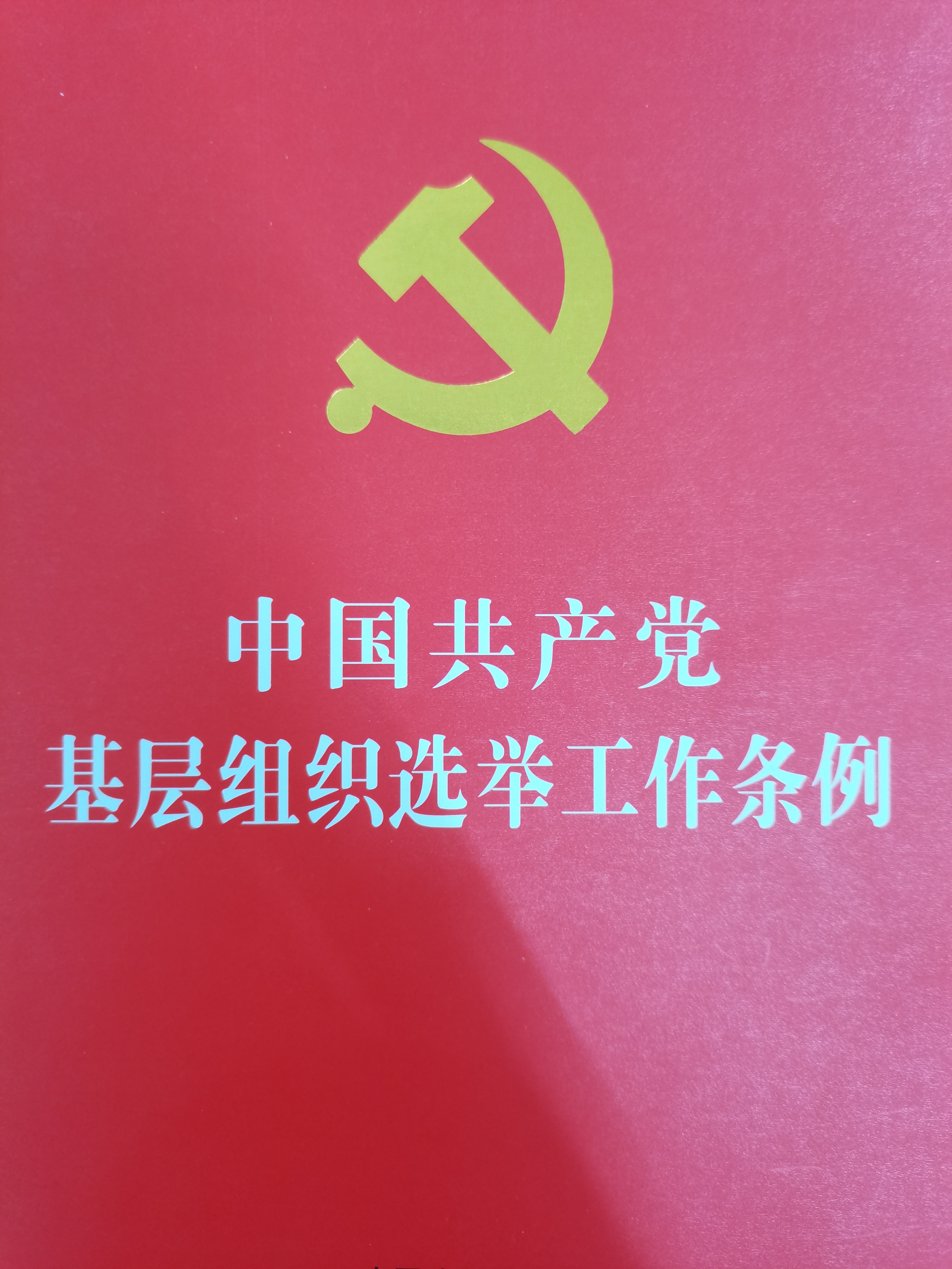 IMG_20201120_144240.jpg IMG_20201120_144240.jpg