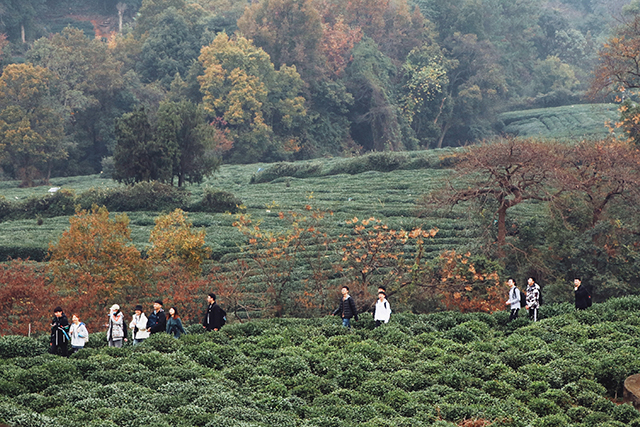 第十三届精弘毅行-毅行路上.jpg 第十三届精弘毅行-毅行路上.jpg