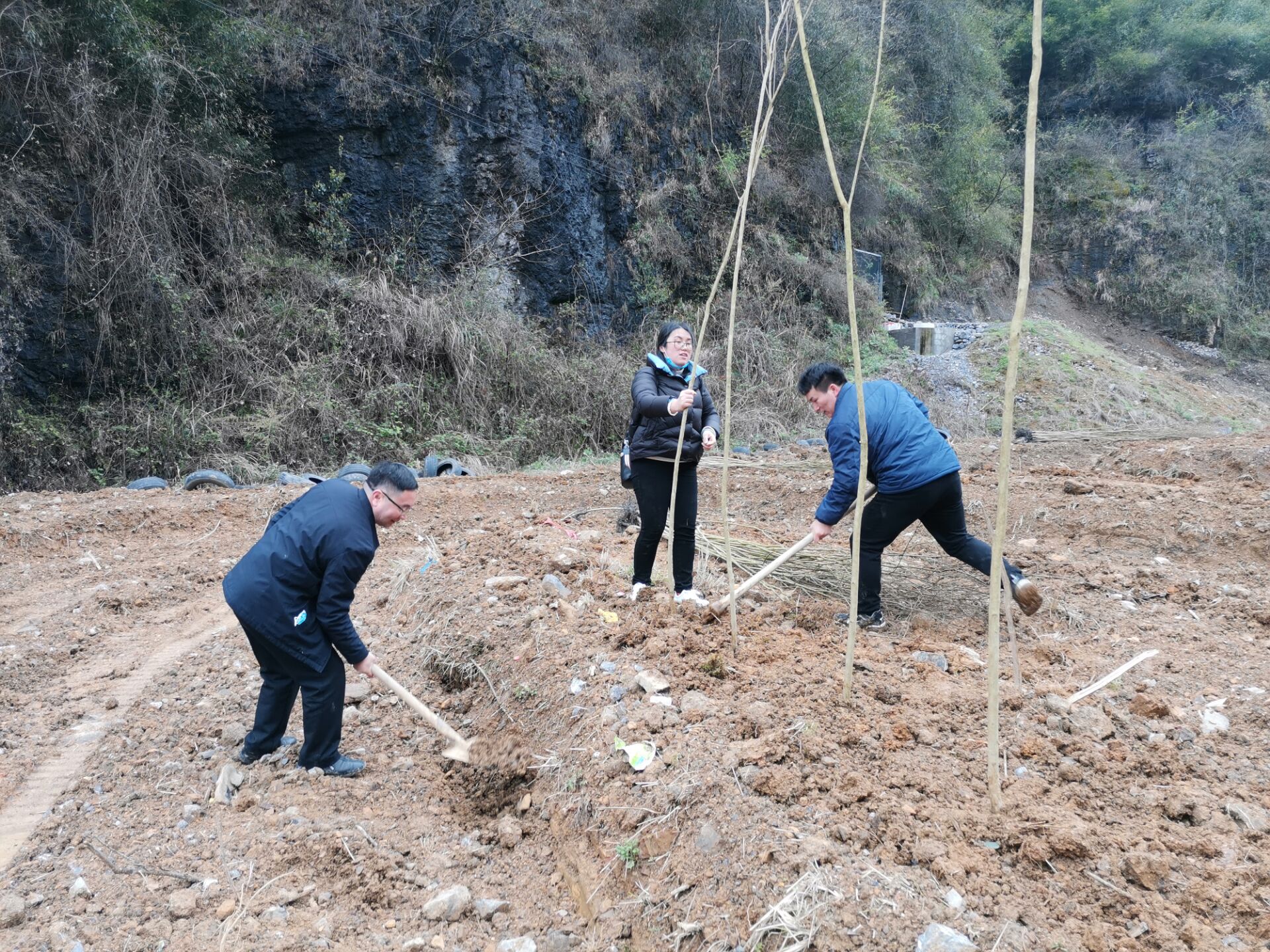 院党委书记李建新和支部党员在碧江区路蜡村植树