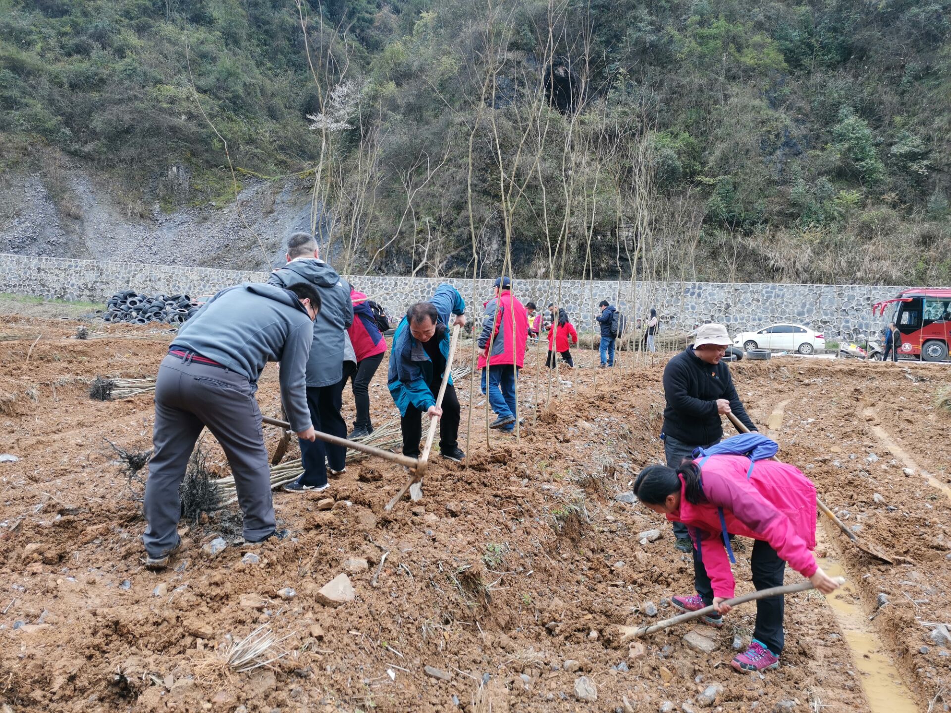 院党委委员赵成刚和支部党员在碧江区路蜡村植树