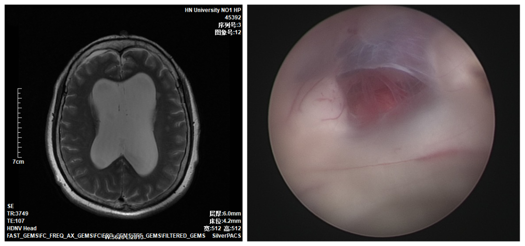 微信图片_20210425223509.png 微信图片_20210425223509.png