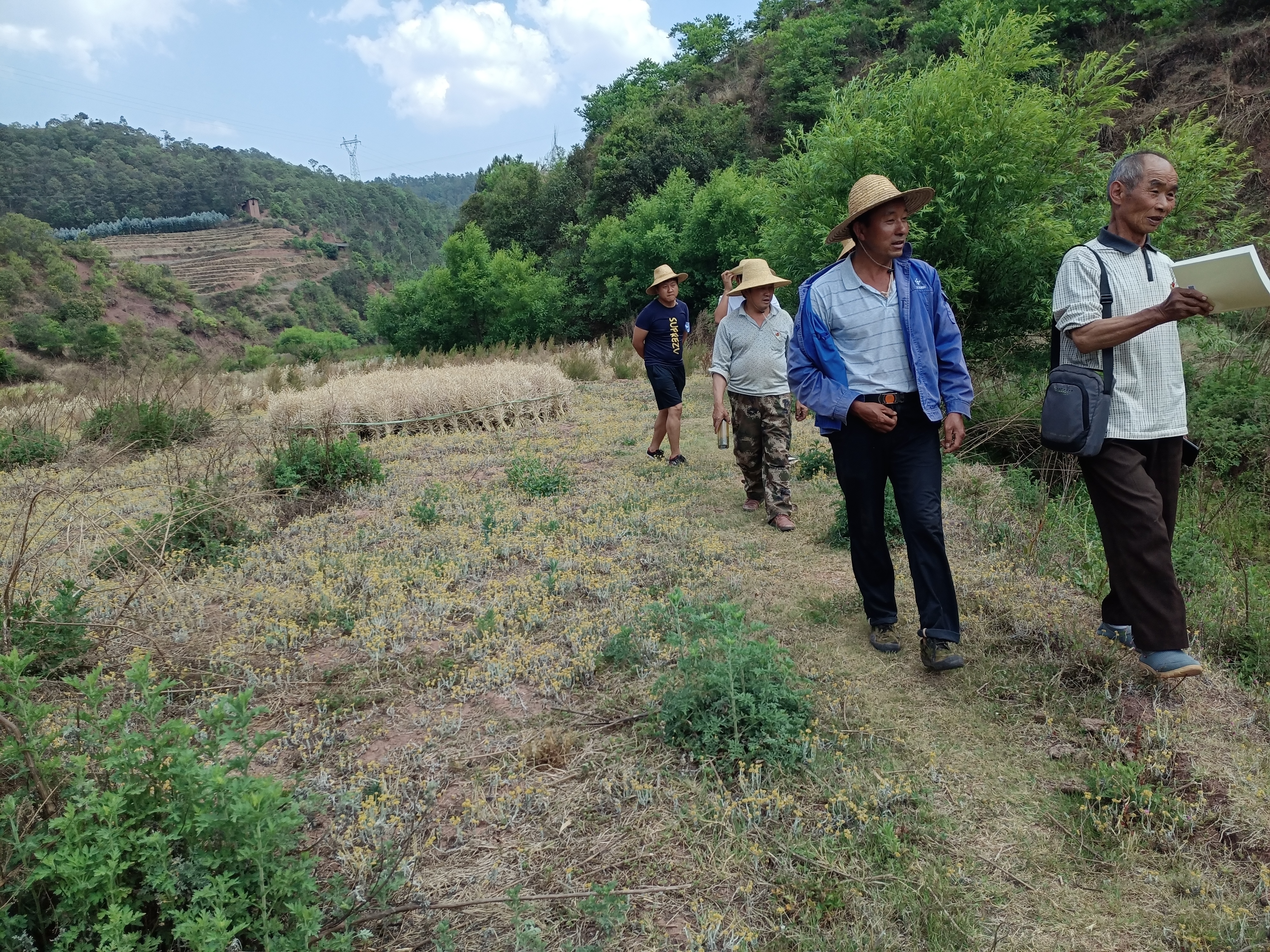 实地勘察，为产业发展夯实基础。