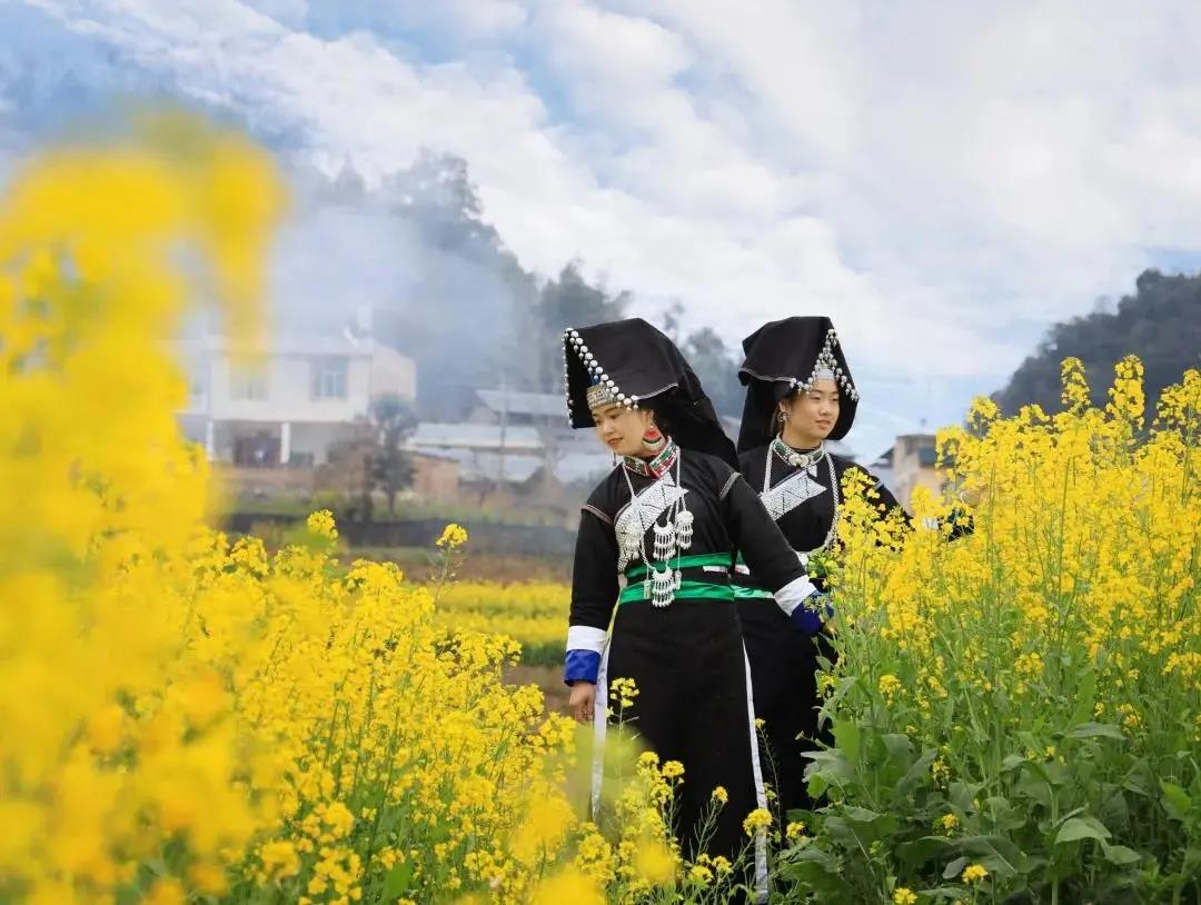 微信图片_20210430151105.jpg 微信图片_20210430151105.jpg