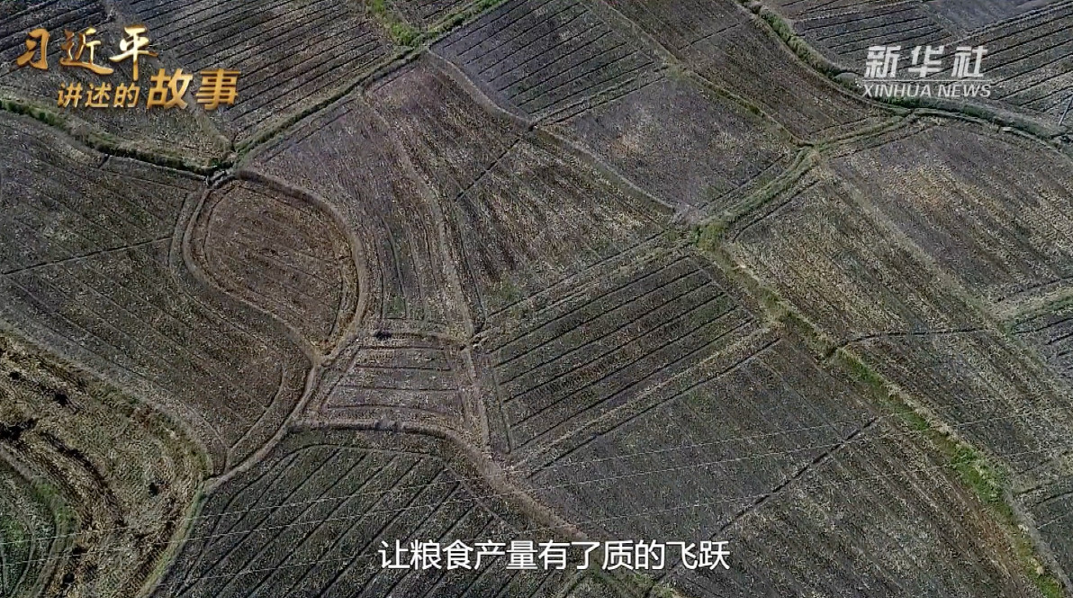 微信图片_20210606164039.jpg