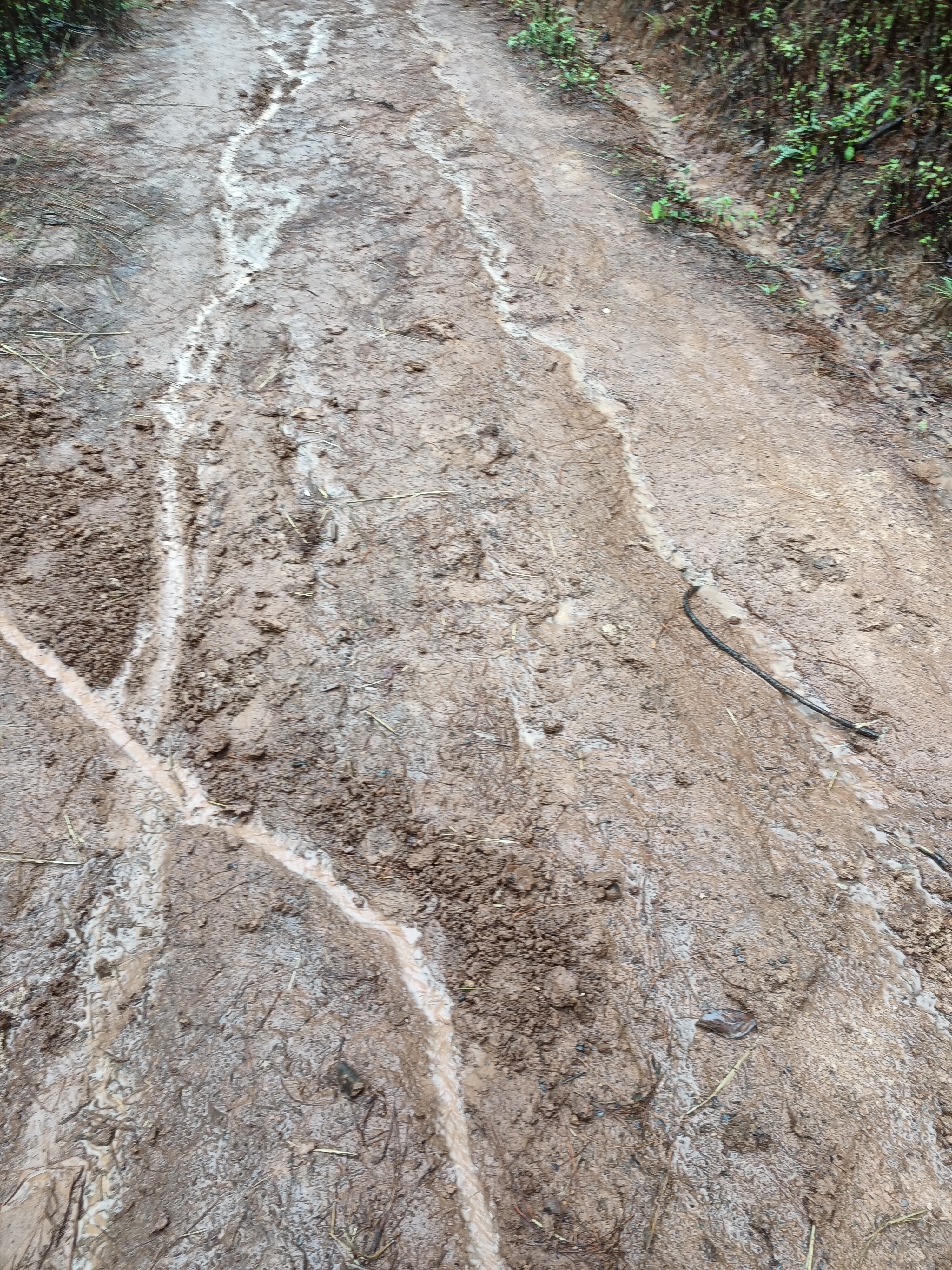 整天都在下雨，道路非常湿滑，徒步进行