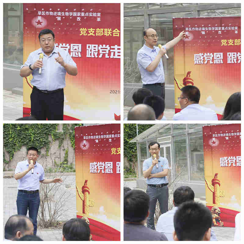 4-1-7 感党恩、话成长.jpg