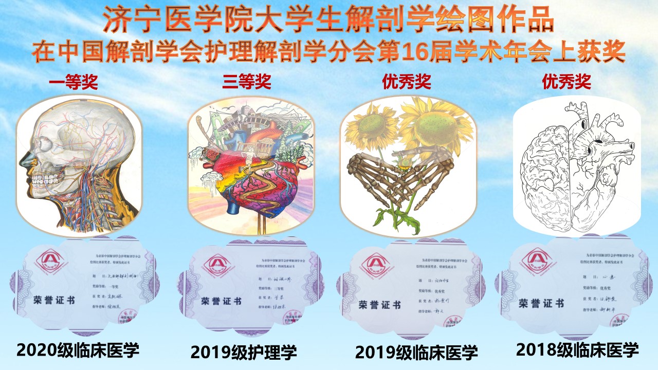 获奖第16届护理解剖学术年会.jpg