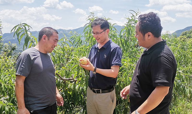 地方服务0731.jpg 地方服务0731.jpg