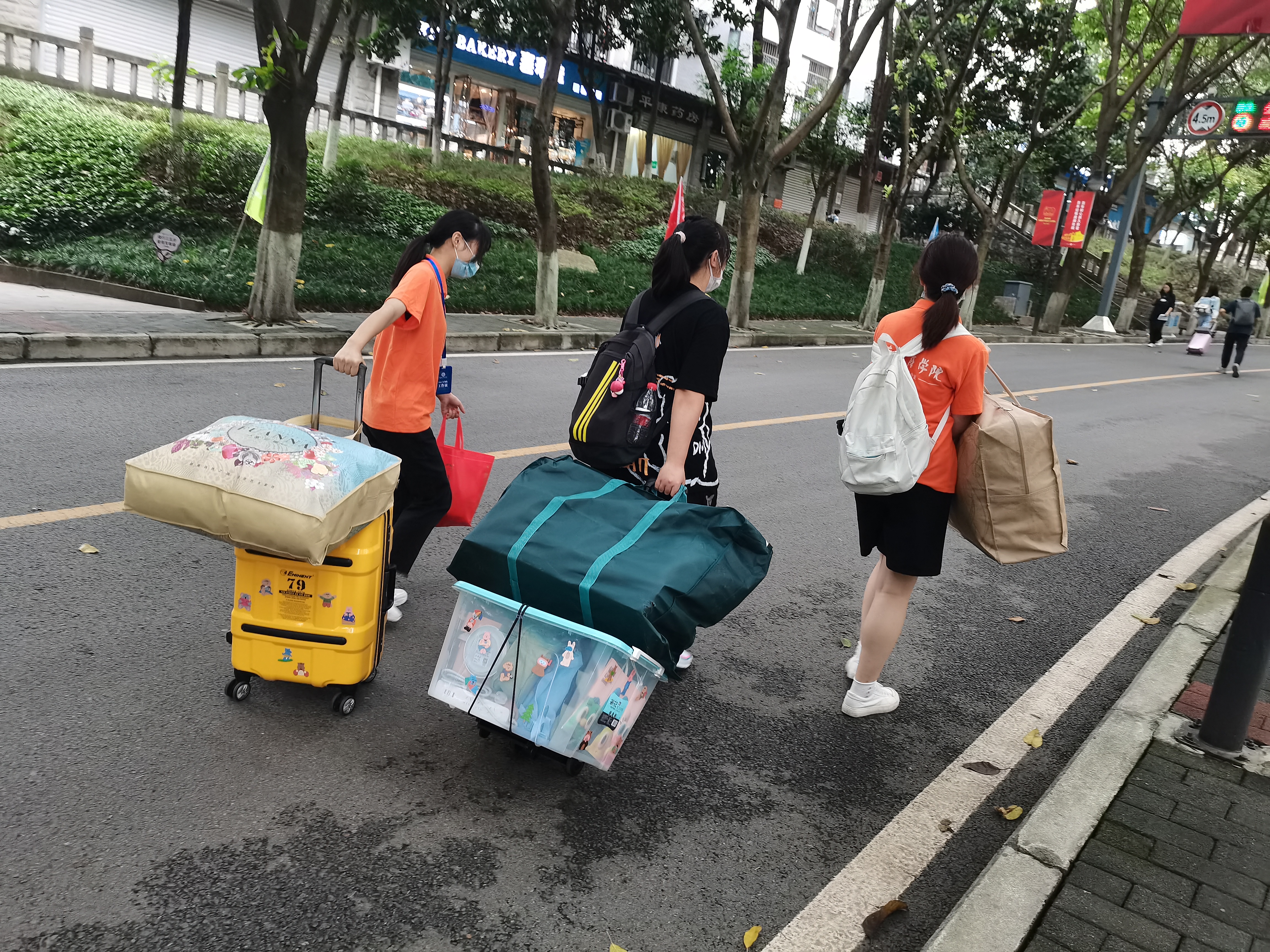 图片6.jpg