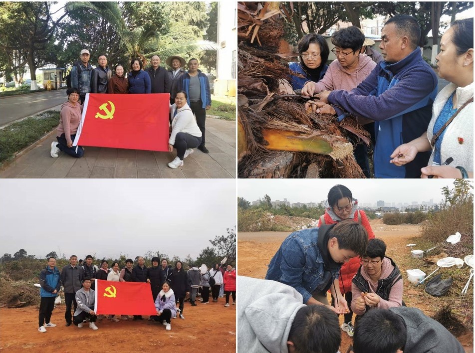 图3.jpg