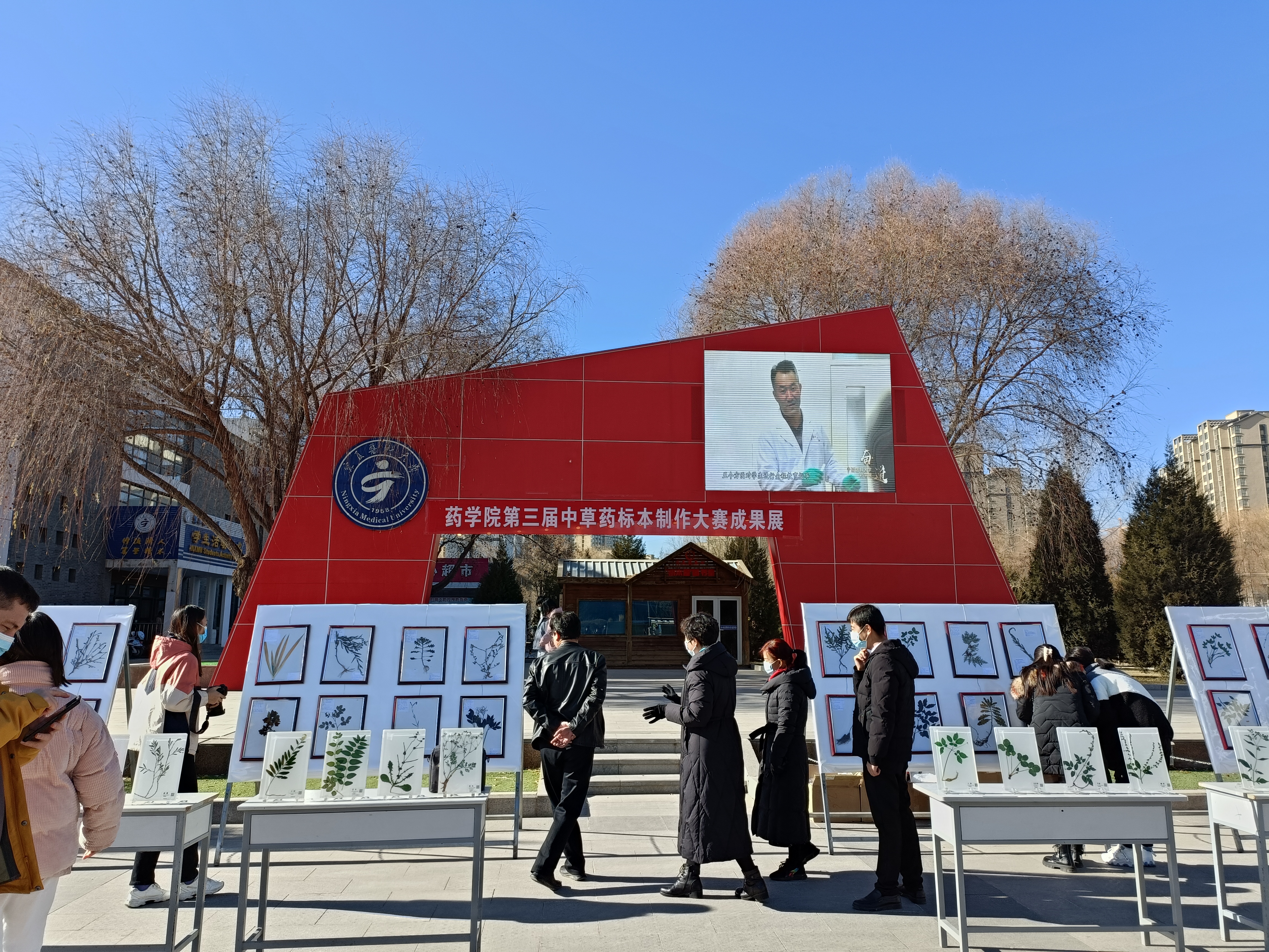 师生参观中草药标本大赛成果展示.jpg