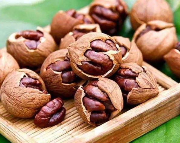 山核桃2.jpg 山核桃2.jpg