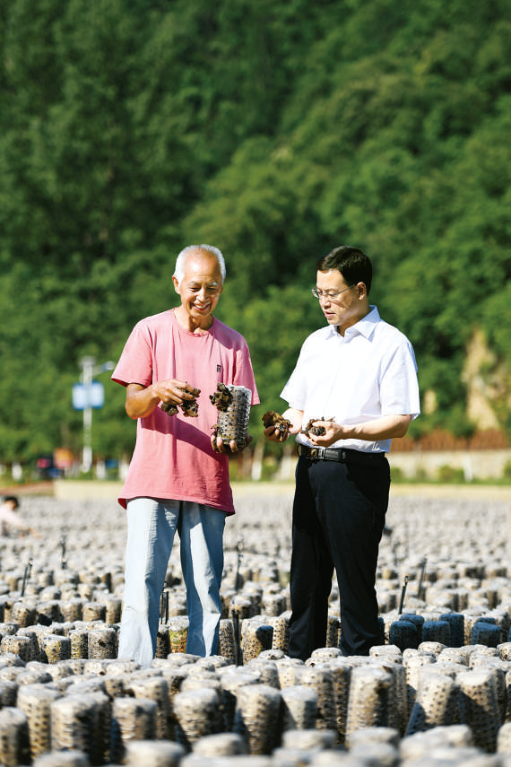 陈璇（右）在金米村调研柞水木耳长势情况。