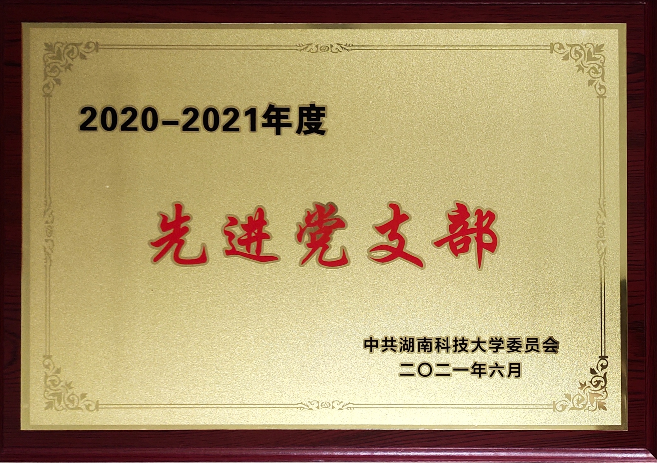 IMG_20210705_164141.jpg IMG_20210705_164141.jpg