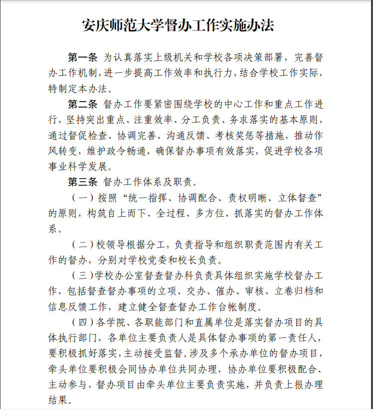 督办实施办法2.png