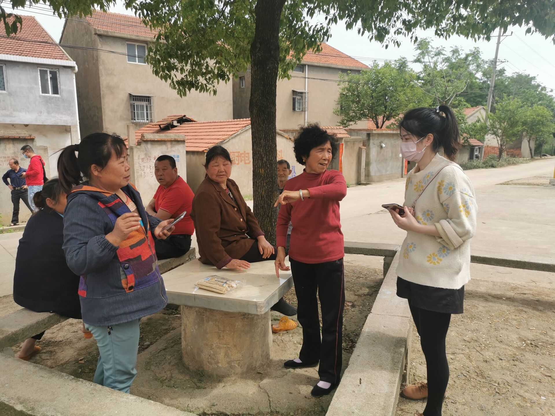 支部书记张城芳赴卢庙村调研，与村民访谈。