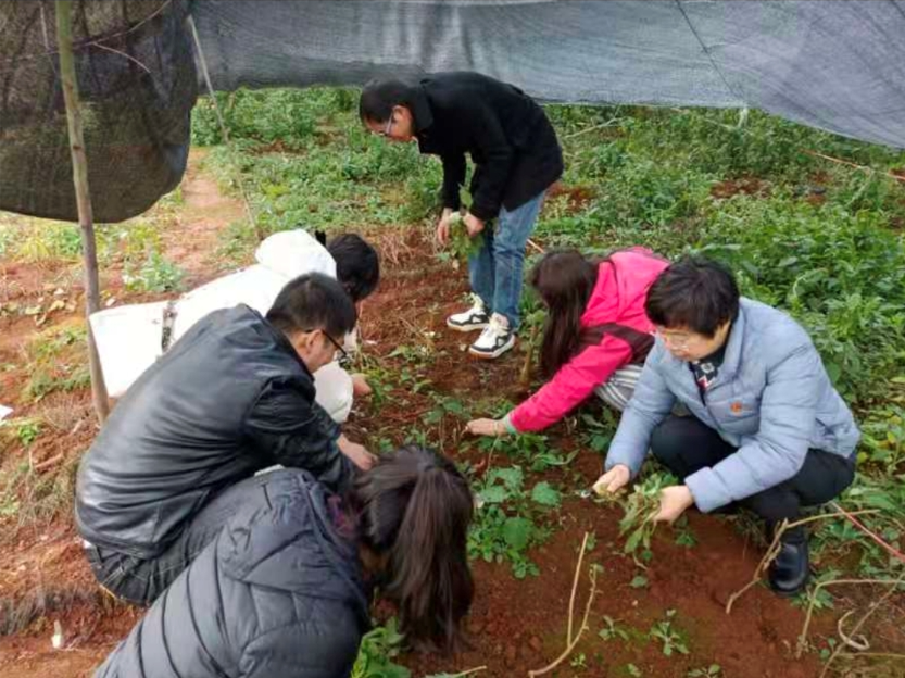 民族药种植基地建设2