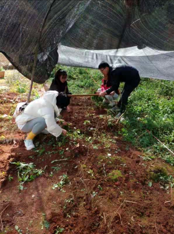 民族药种植基地建设3