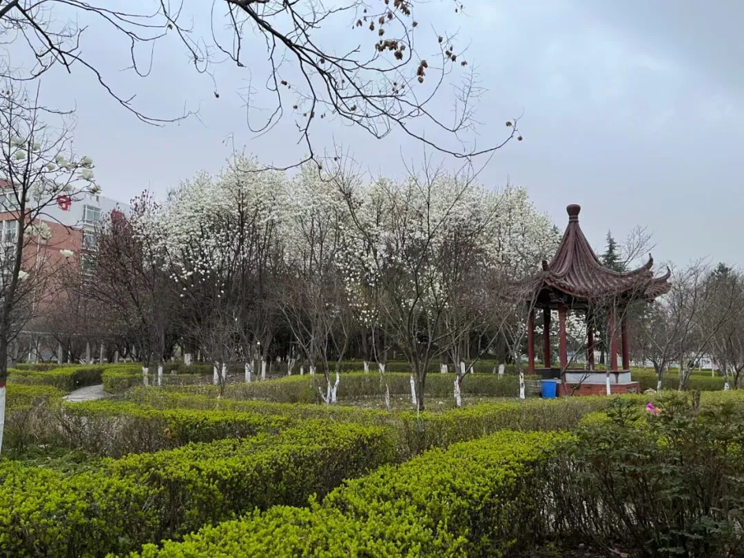 微信图片_20220322155206.jpg 微信图片_20220322155206.jpg