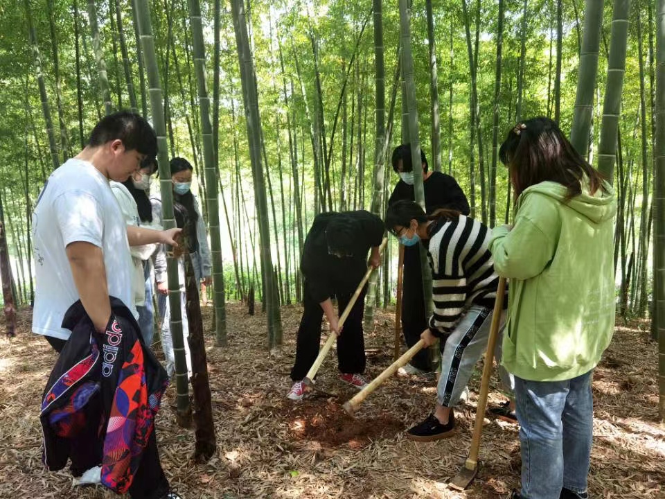 图2：师生们在林中感悟工艺“竹精神”.jpeg