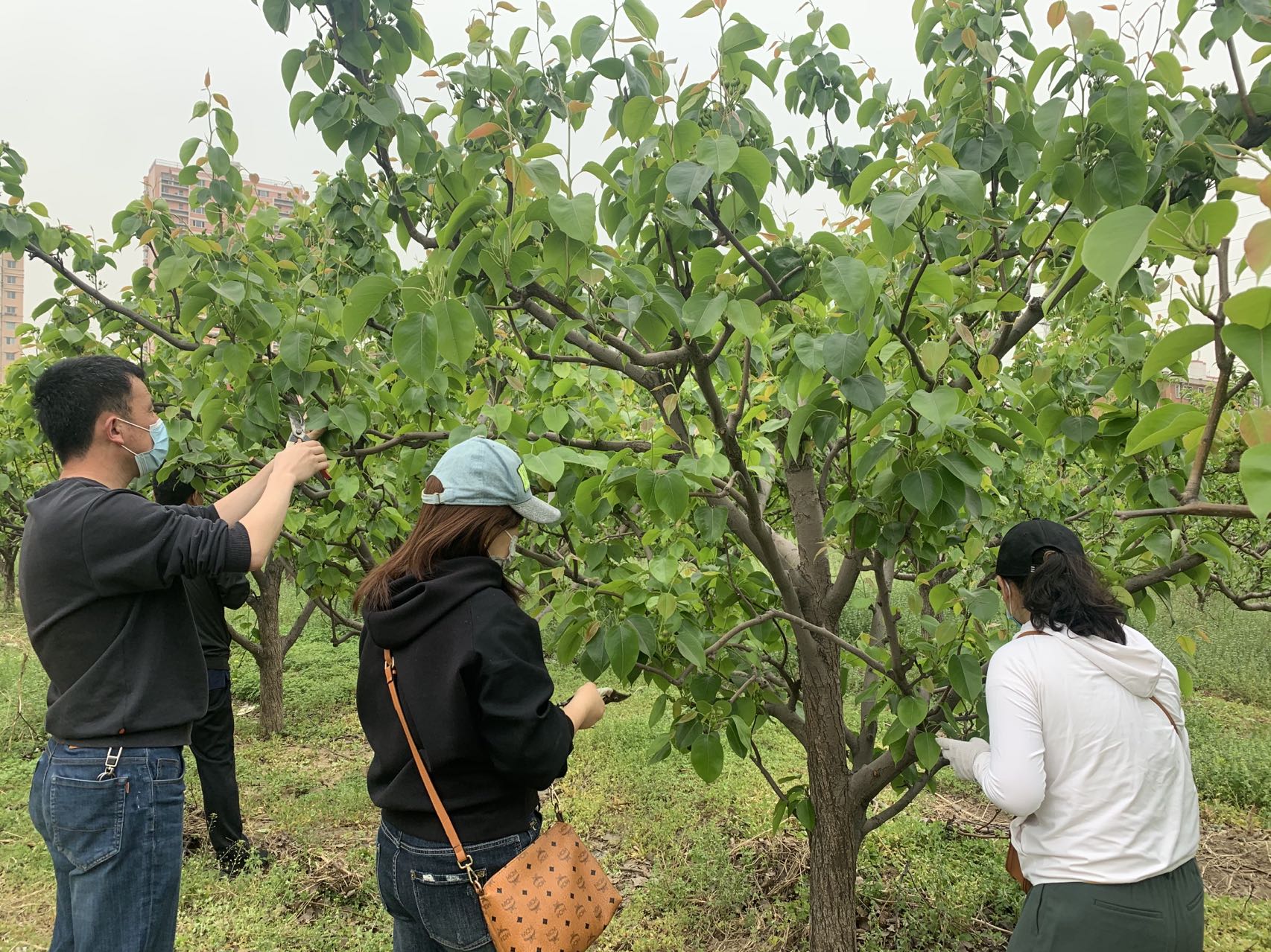 微信图片_20220501211115.jpg 微信图片_20220501211115.jpg