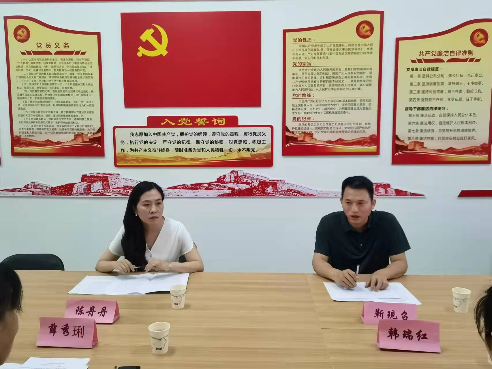 陈书记现场给出指导意见.jpg