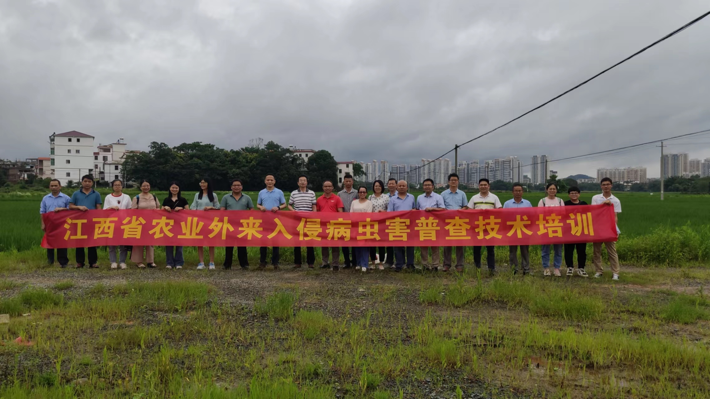 6月15日至21日，南昌大学生命科学学院教工第一党支部多名党员深入基层，在全省多次分批开展农业外来入侵病虫害普查技术培训