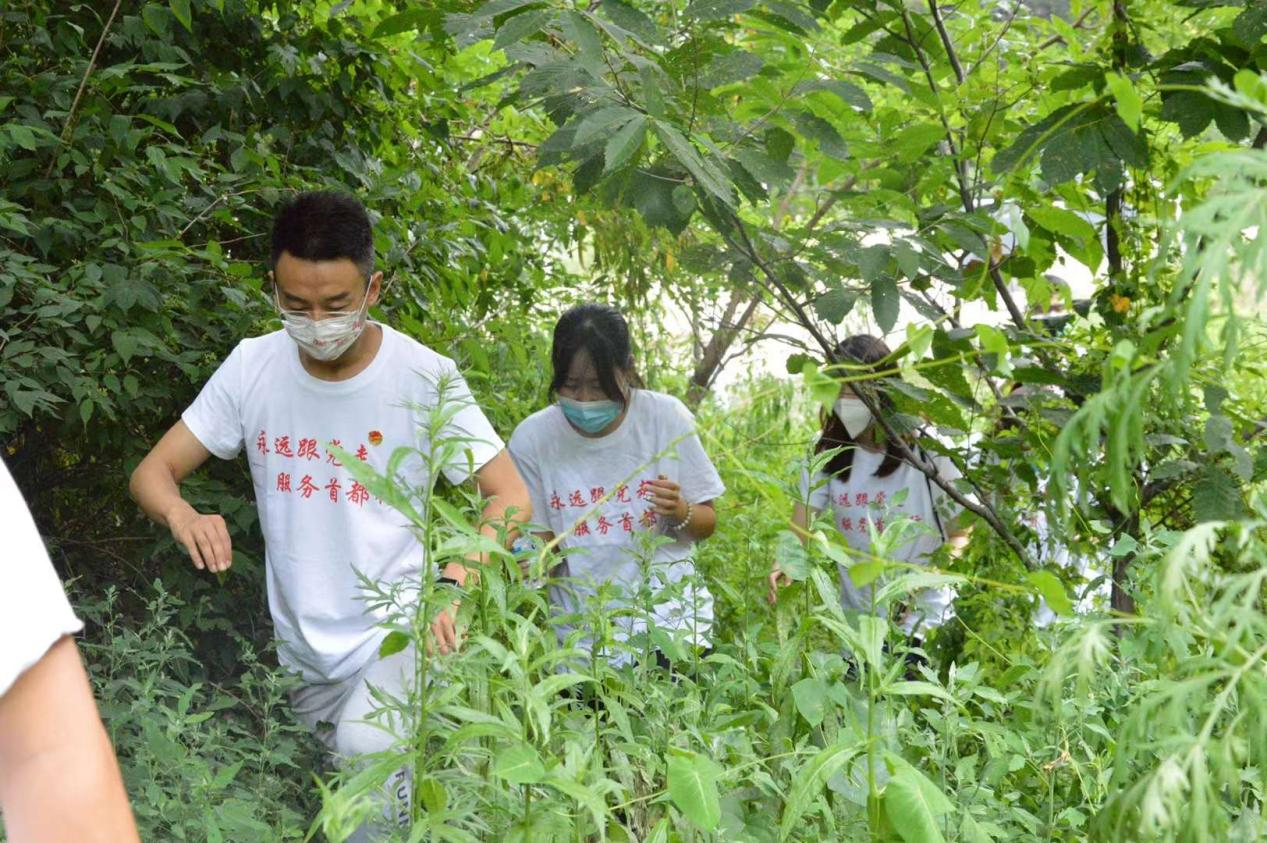 实践团实地考察山楂观光园选址.png