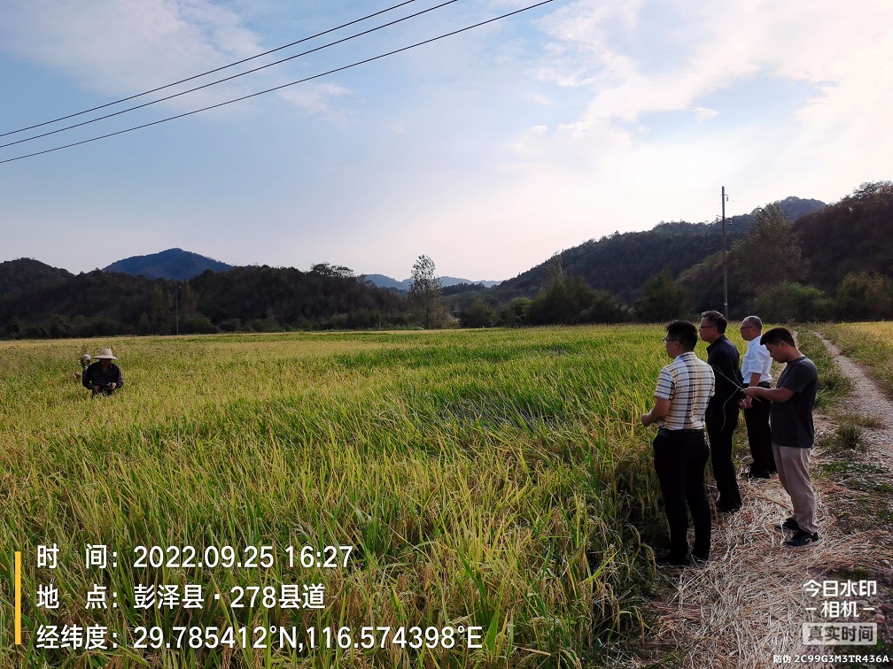 通过到基层实地走访了解旱情和农户受灾情况，将国家及省市抗旱救灾政策进一步落实。