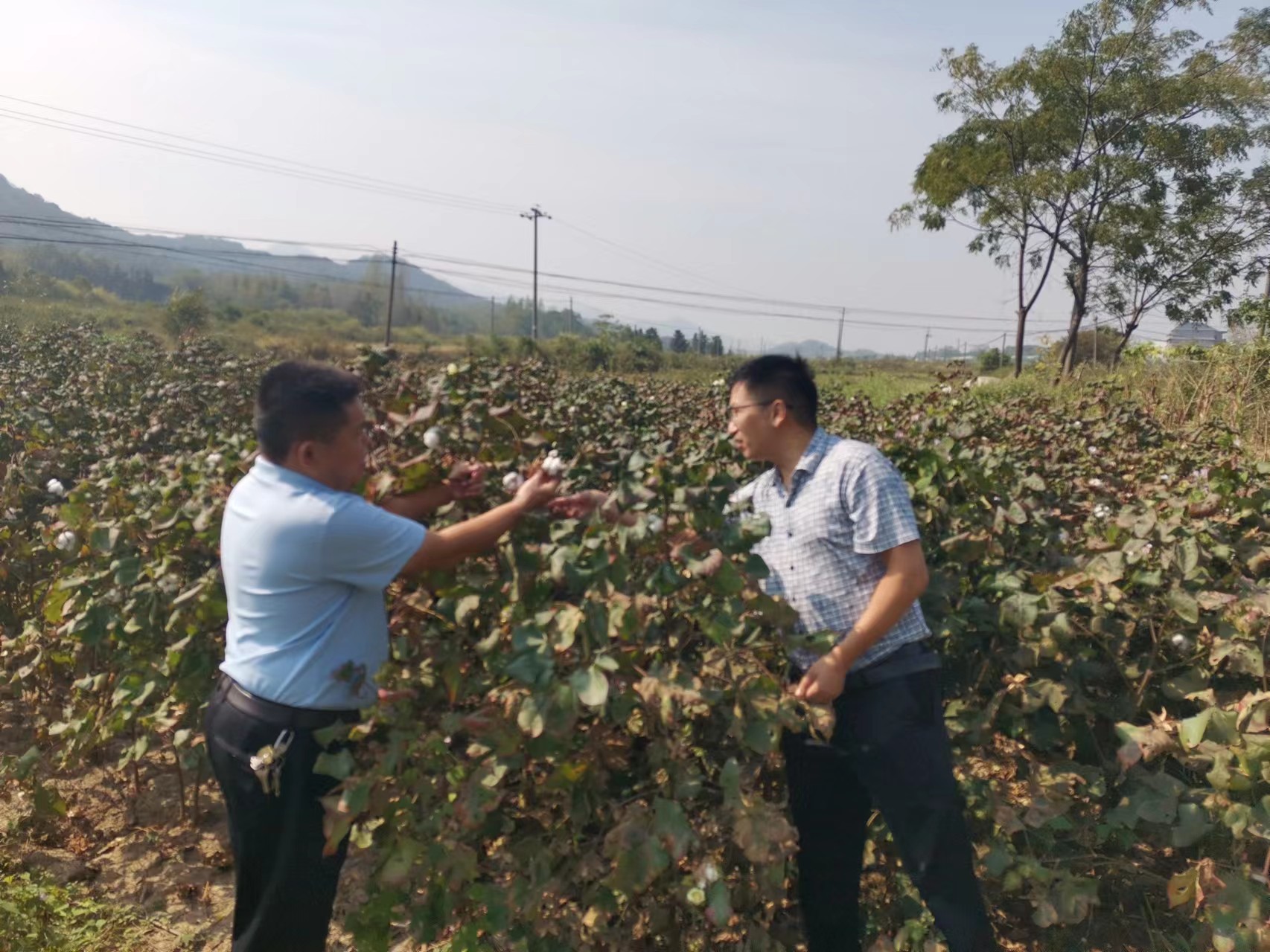 宣讲各种引水、调水、提水和蓄水等方法，为种养殖户理清抗旱思路，保障农业生产生活用水。