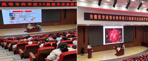 BA619CBDCF85338BC2616F5AA09_707AAE02_3063C.png BA619CBDCF85338BC2616F5AA09_707AAE02_3063C.png