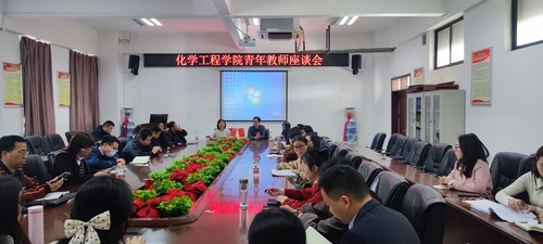 化学工程学院召开青年教师座谈会图片