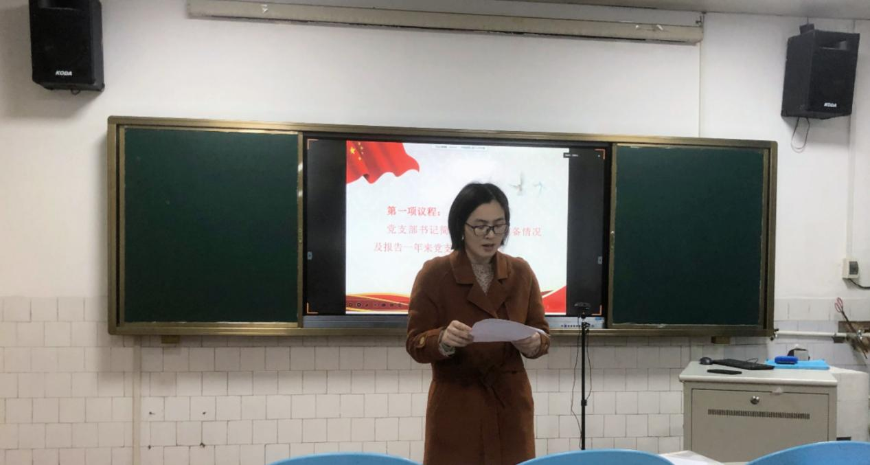 苏银花报告支部工作情况.png