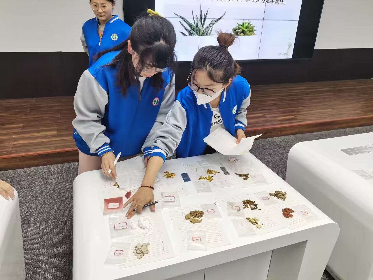 图片3.jpg 图片3.jpg