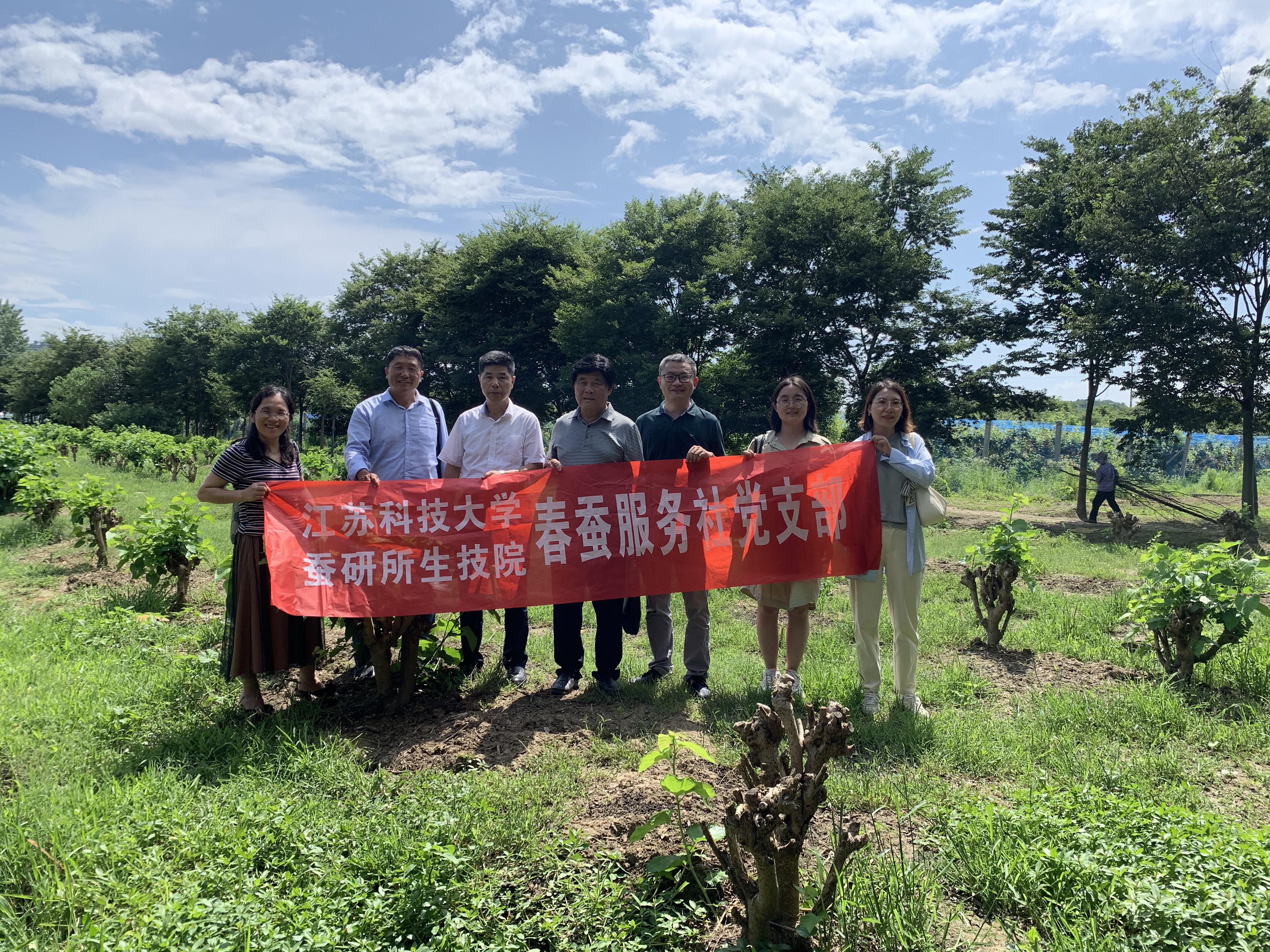 天目湖指导夏伐及病害防控.jpg