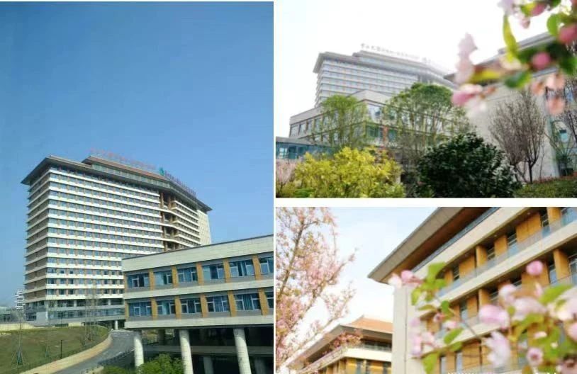 中山大学附属第一医院贵州医院2.jpg