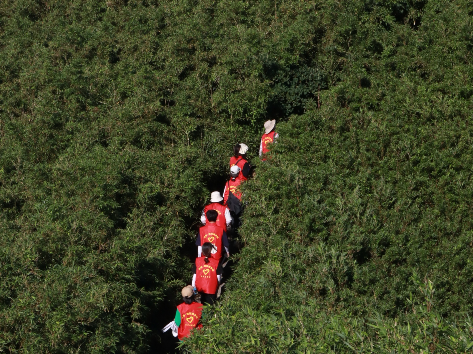 图片2：幸福家成员前往赵云山.jpg