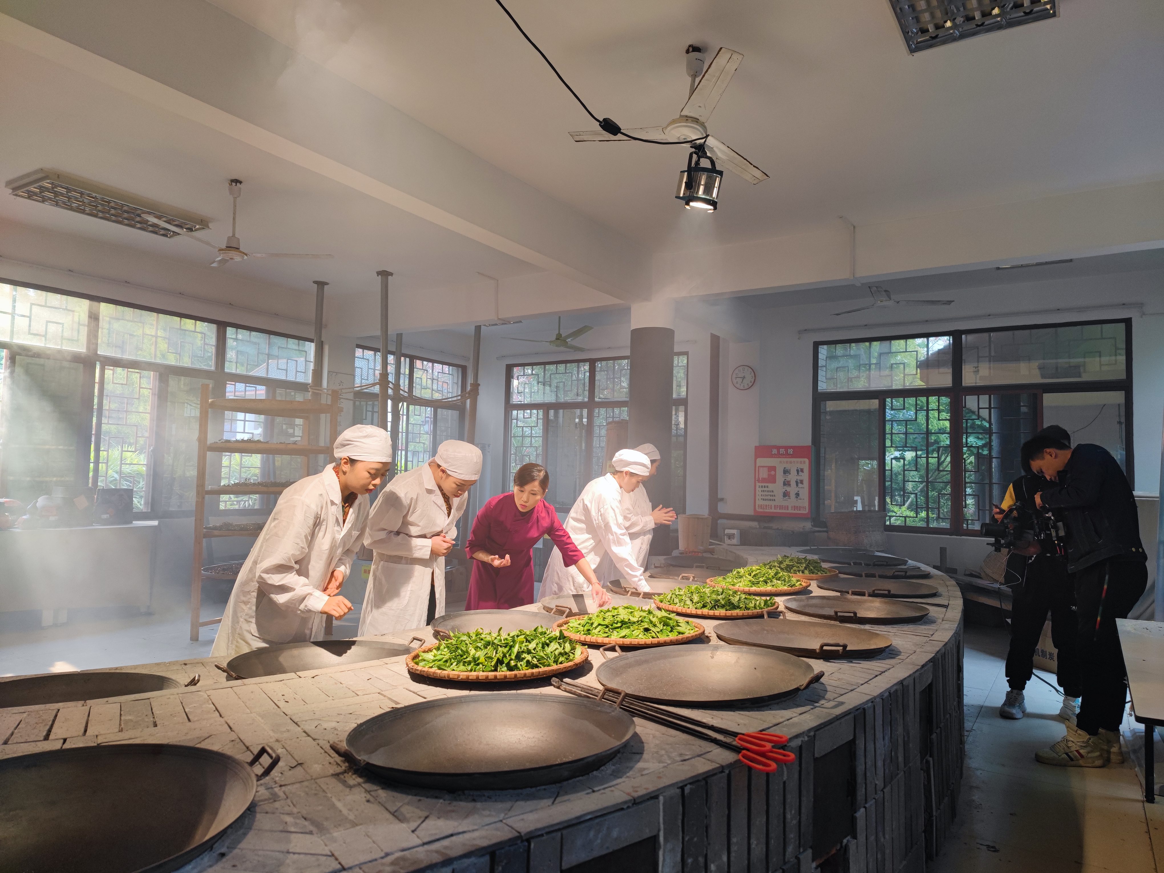 治区六堡茶制作技艺项目代表性传承人石濡菲（左三）指导印尼留学生制茶