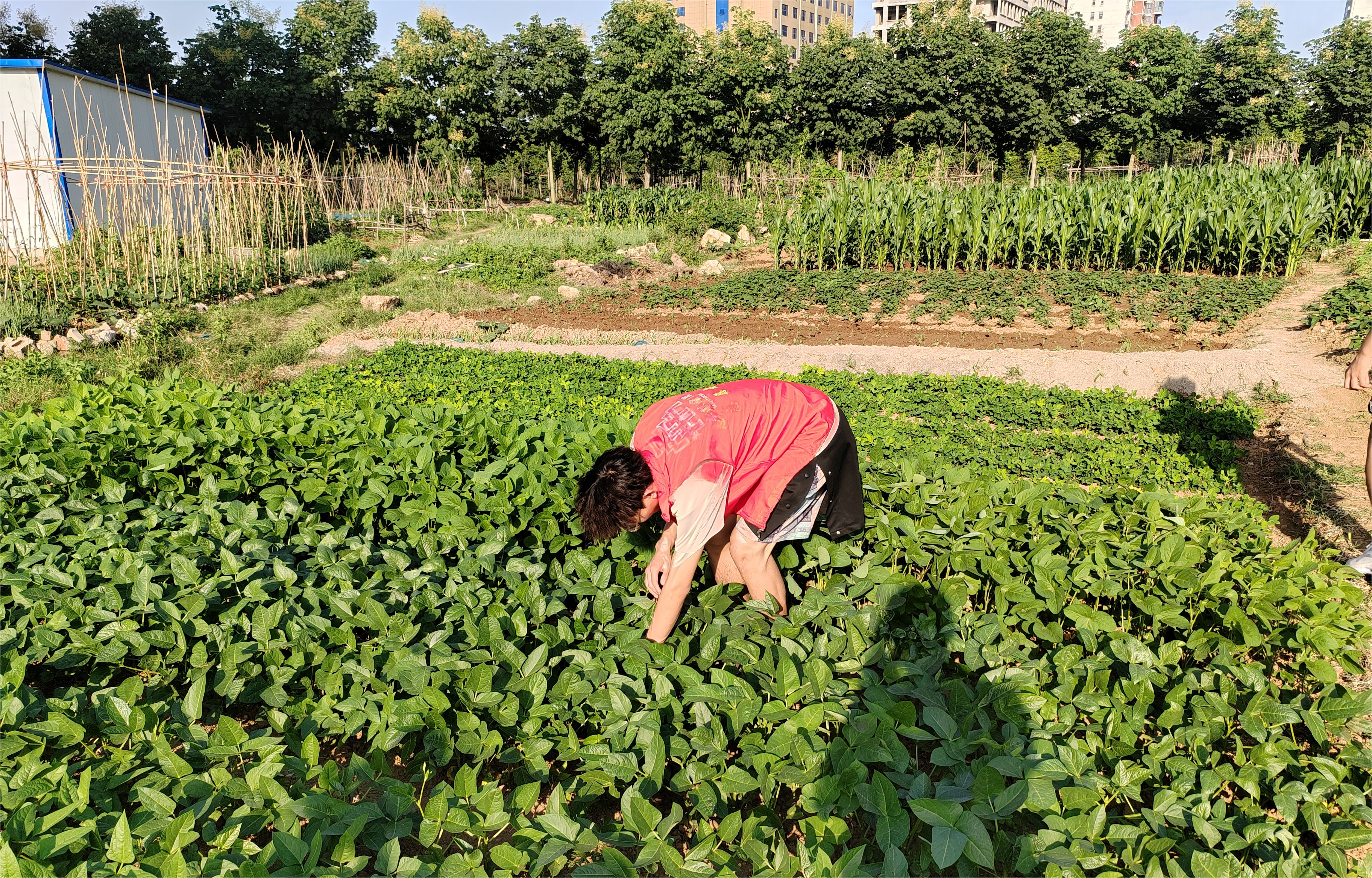 8.29-2.jpg 8.29-2.jpg