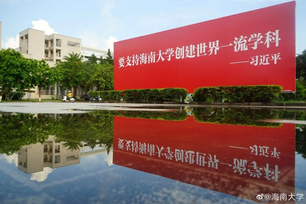 图片11.png