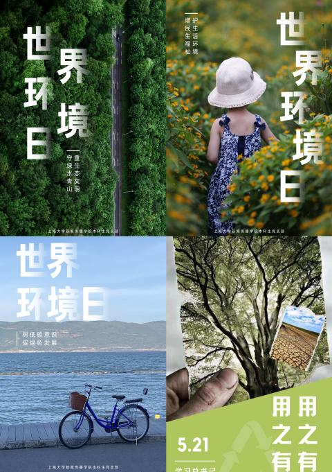 图片10.png